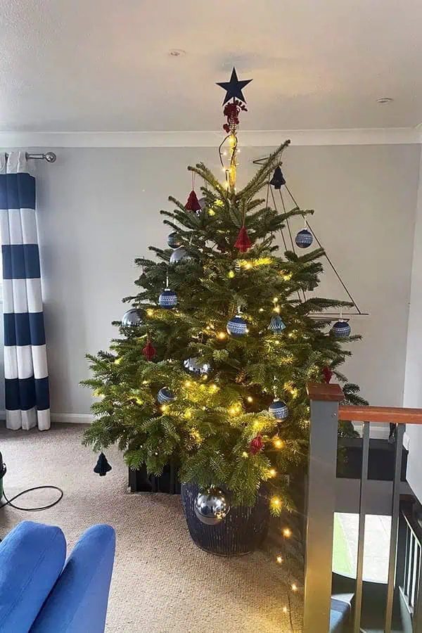 Christmas-tree-Harbour-View